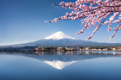 Blick auf den Fuji mit einem Zweig eines Kirschbaums, der ins Bild ragt. Blauer Himmel