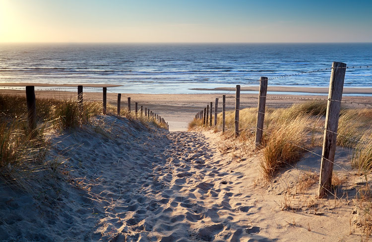 Sonniger Weg durch die Sanddünen zum Meer und blauem Himmel